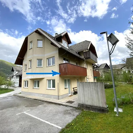Bee Bohinj